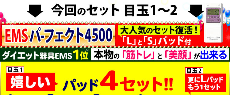 干渉波EMS機器パーフェクト4500が口コミでバカ売れ！