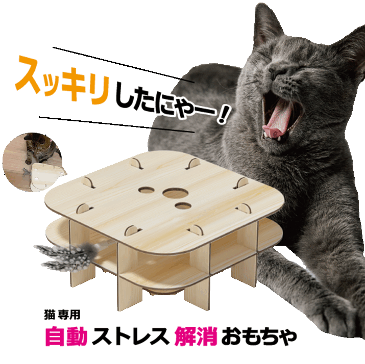 うちのこエレクトリック パンチザキャット