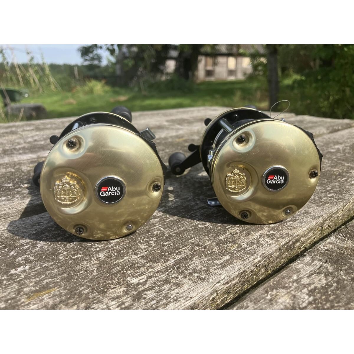 abu ambassadeur C3 6000-C gold