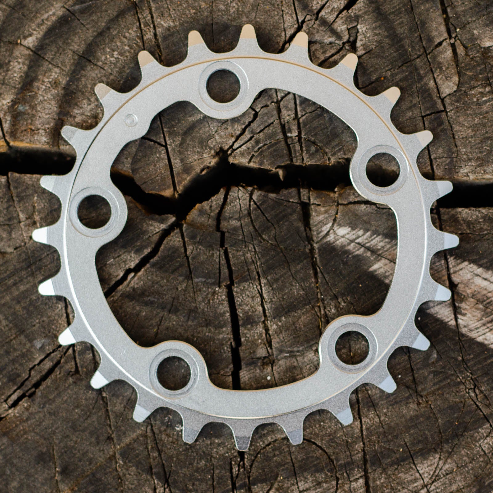 Silver Chainrings – Rivendell Bicycle Works