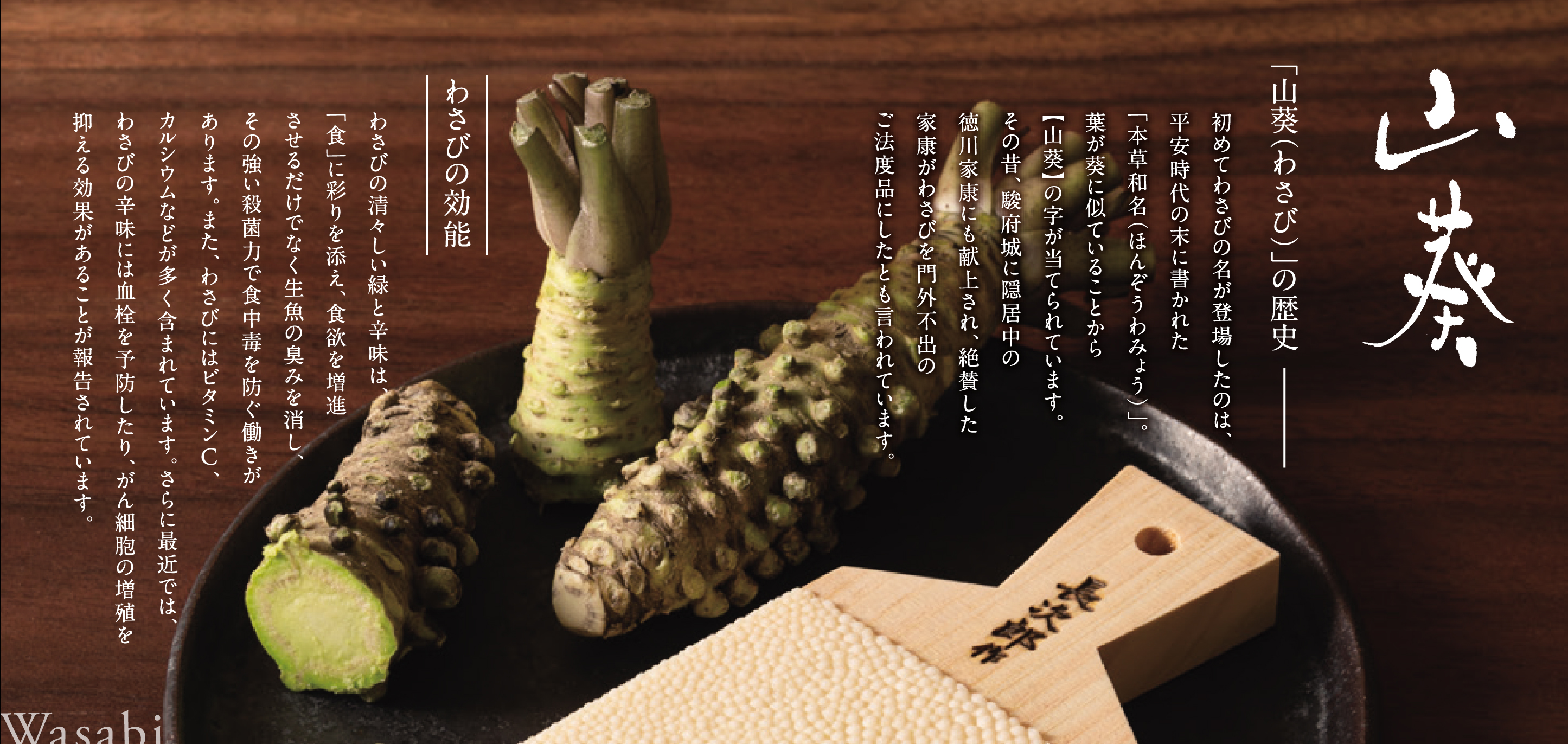 ワールドヴィジョン株式会社 わさびおろし わさび おろし器 鮫皮おろし