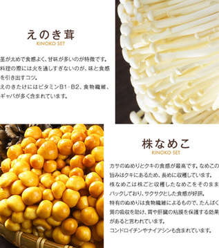 北海道愛別産 きのこセット ｜ ホワイトフードオンラインショップ