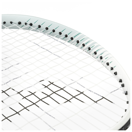 ウインザーオンラインショップ【張り工賃別】ミズノ ディーフォース VS