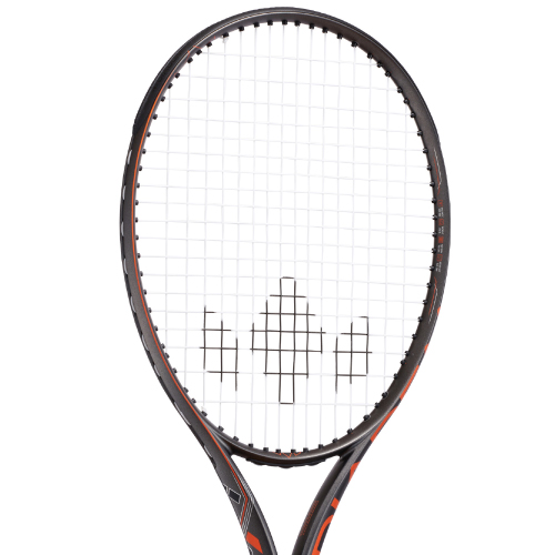 ウインザーオンラインショップダイアデム アクシス 100 チーム