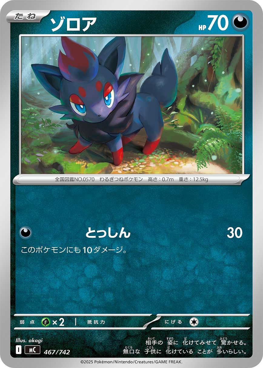 メガエンブオーex[SAR仕様]【ポケモンカードトレカお買得価格通販