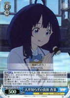 カードを買う/ヴァイスシュヴァルツ/2025年度作品/負けヒロインが多