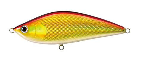TACKLEHOUSE:SALTY SHAD