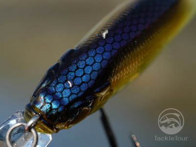 Megabass X-80 Trick Darter Jerk Bait