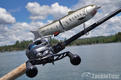 Baitsanity Antidote TUG Swimbait Review #baitsanitysantidotetug