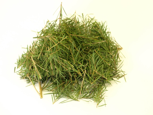 herbique（ハービック）蒸留用ハーブ ティーツリー1パック 香りの樹