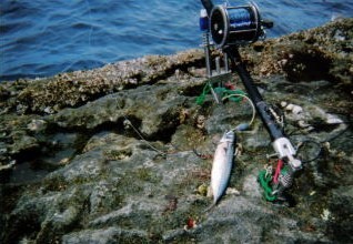 2007-08-01 00;06;122.jpg