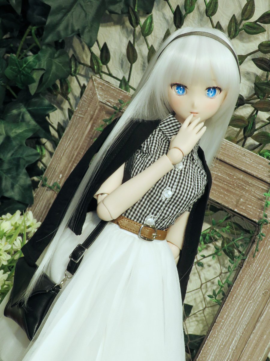 お選びできるのは残り約1週間！期間限定「ドリームチョイス セミ