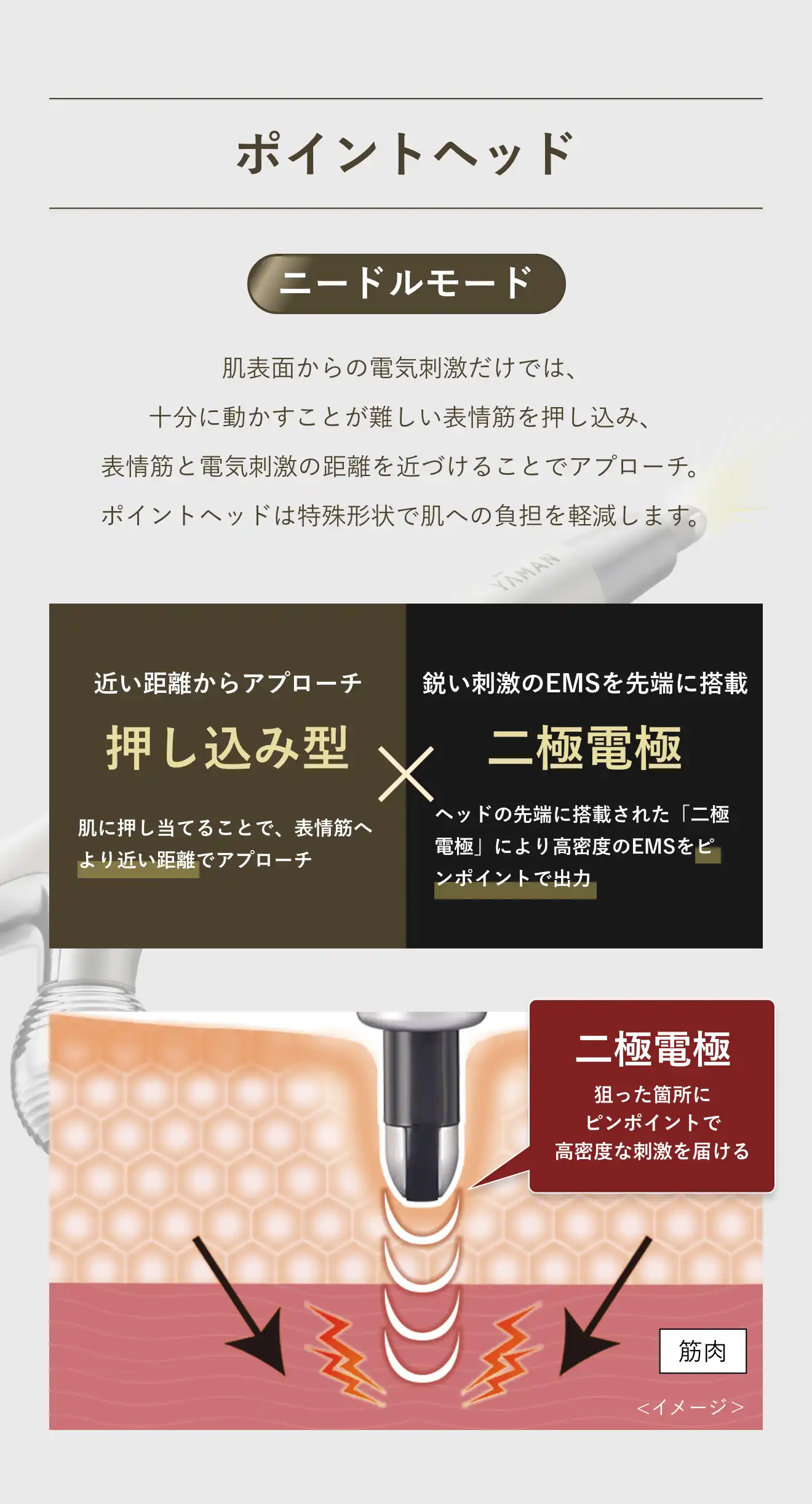 刺して、引き上げる。電気ニードルリフト。｜WAVY ニードルリフト