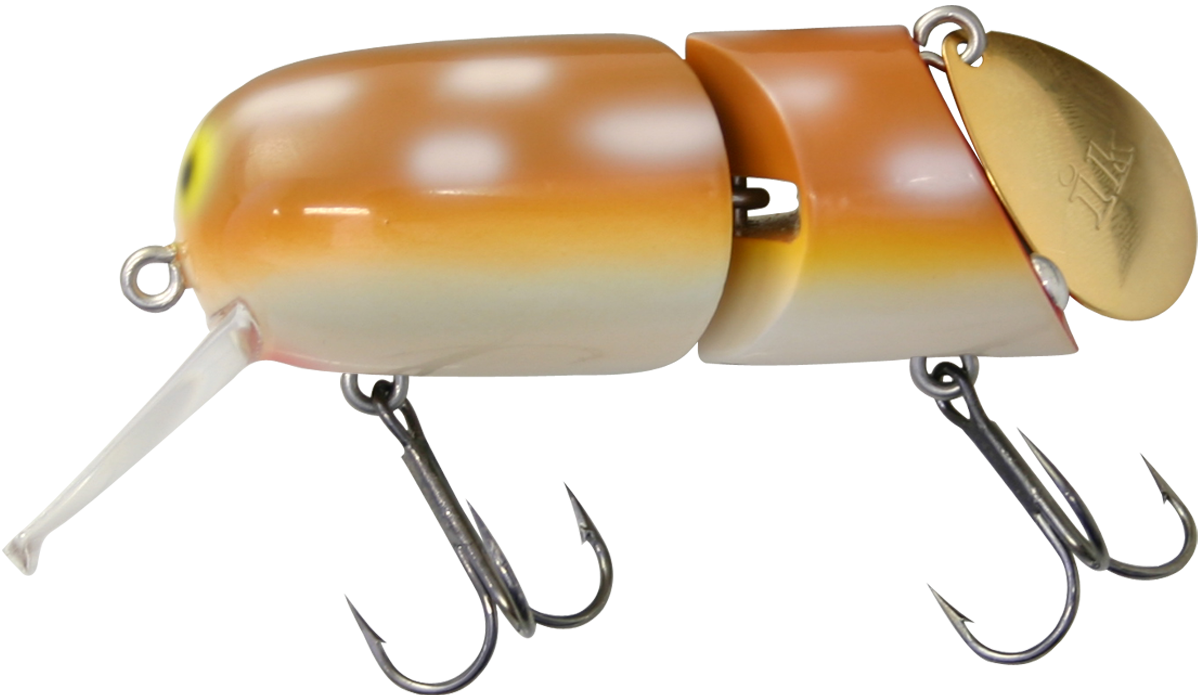 イマカツ 超レア⁈フィジェット FIDGET フィジェット ｜ IMAKATSU ｜