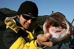 Needle Shad ニードルシャッド ｜ IMAKATSU ｜