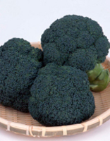 セール開催中のブロッコリー一覧 カテゴリ商品一覧｜家庭菜園用種苗を