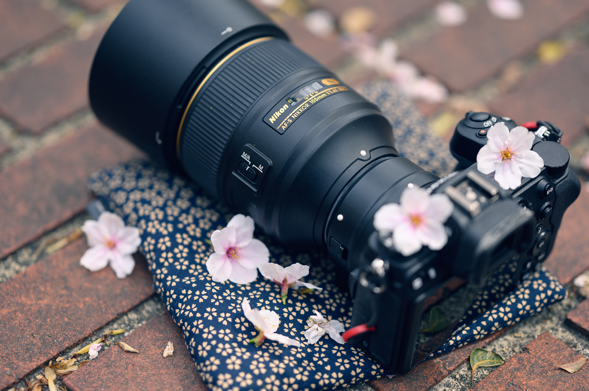 NIKONの中望遠ポートレートレンズ比較：「Z 85mm f/1.8 S」 と」AF-S
