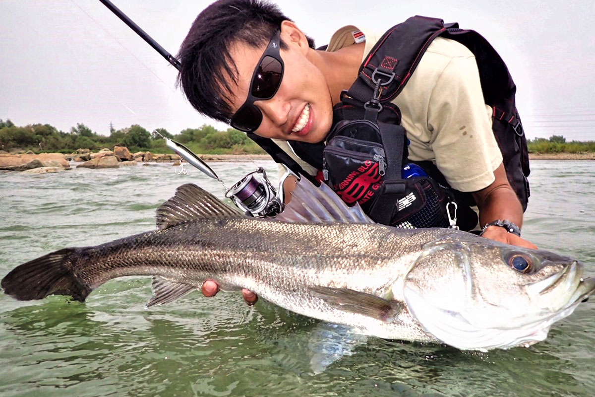 PLAISIR ANSWER - ZENAQ | Official-Web