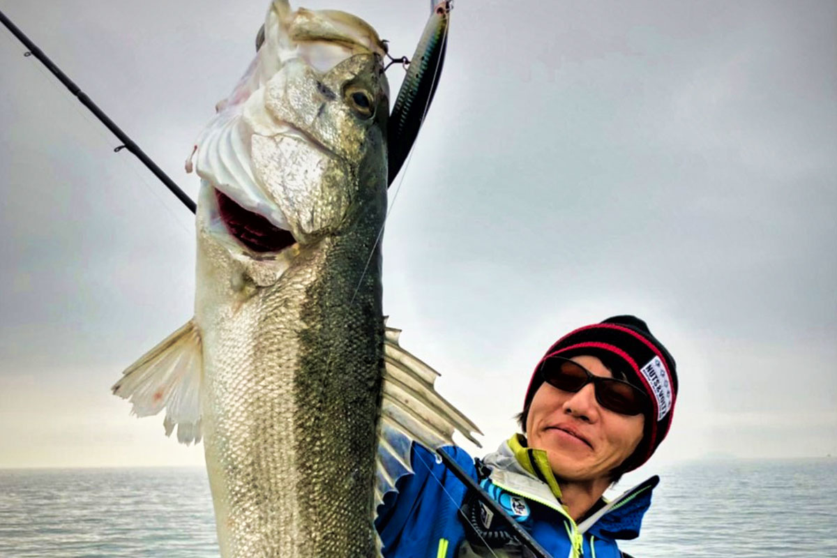 PLAISIR ANSWER - ZENAQ | Official-Web