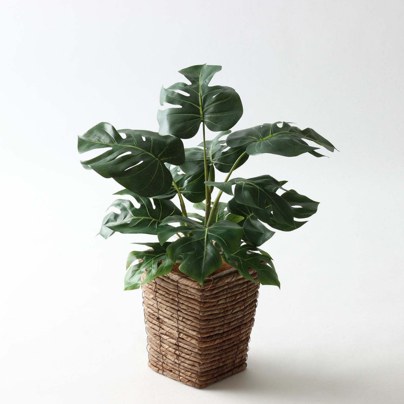 No9283 プレミアム光触媒フェイクグリーン 「柔らかな葉 × バランスの