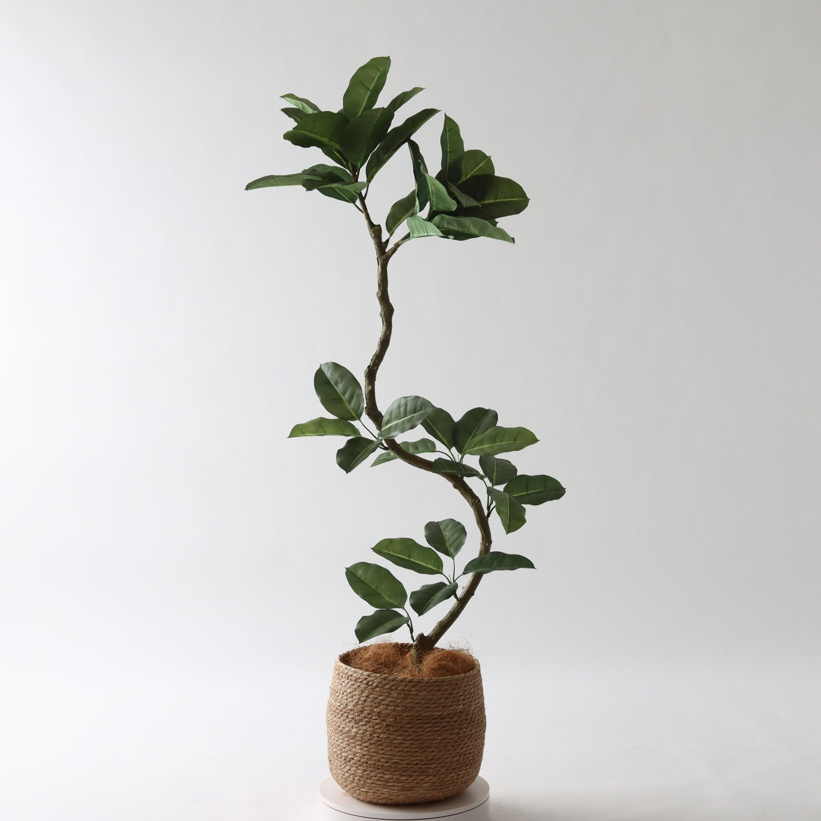 000000000211-18.jpg?size=org&t