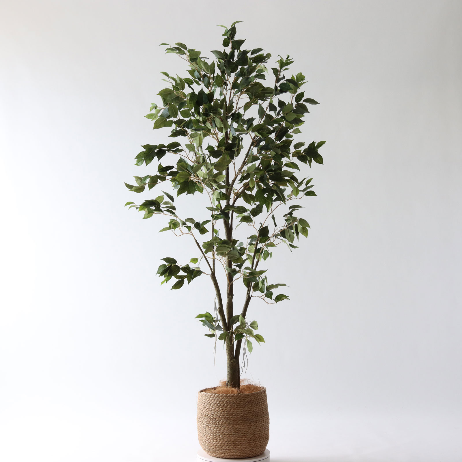 No9277 プレミアム光触媒フェイクグリーン 「自然に広がる枝葉 × 組立