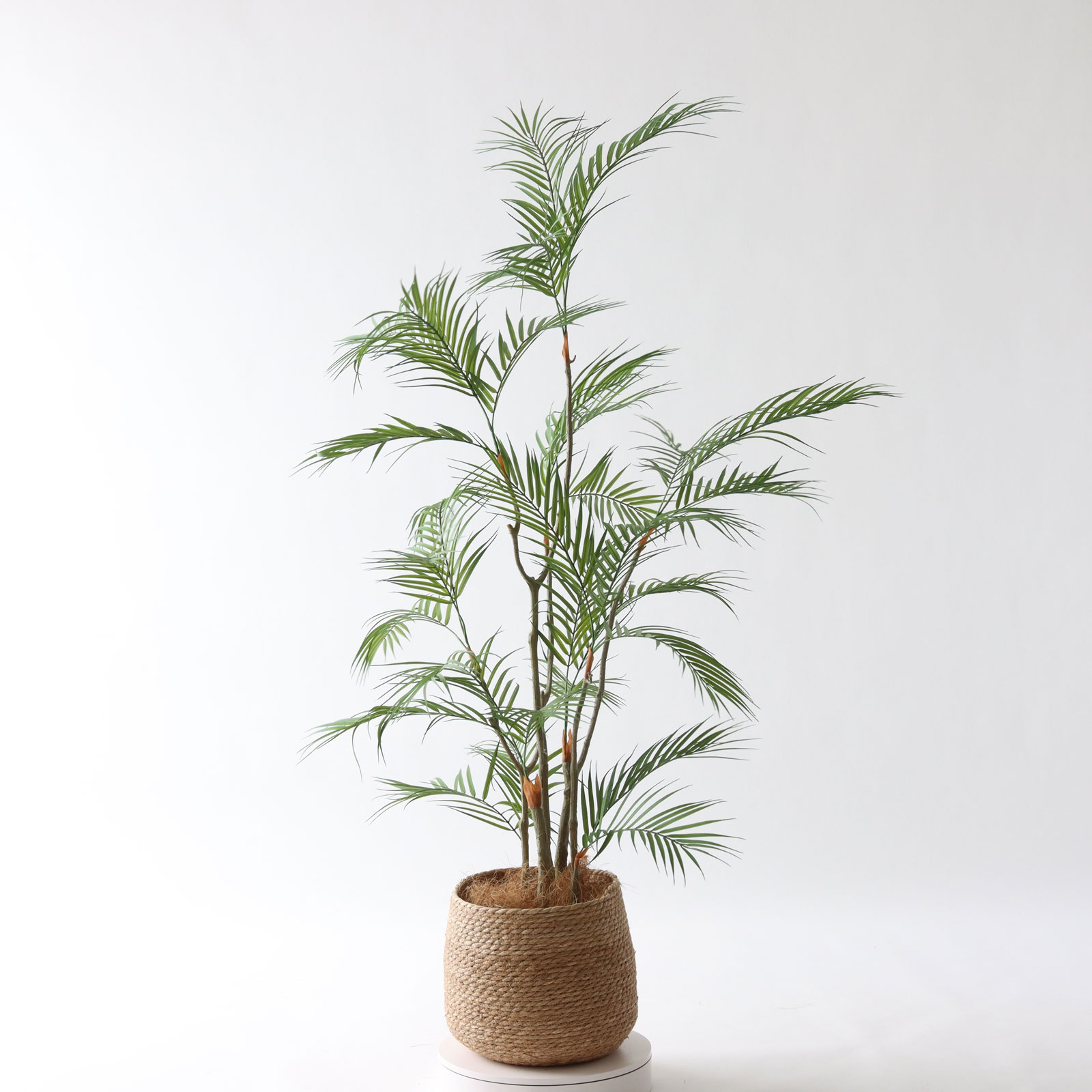 No9399 プレミアム光触媒フェイクグリーン 「風が描いたような