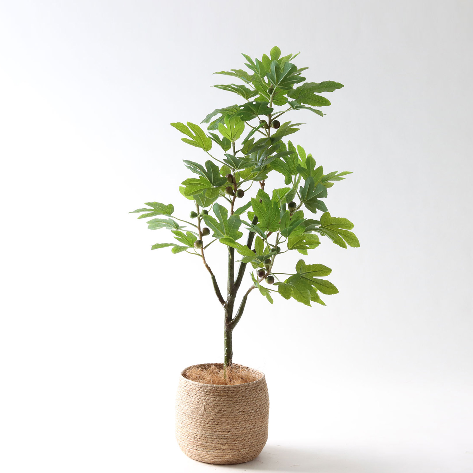 レモンの木・イチジクの木 | プレミアム光触媒フェイクグリーン 造花