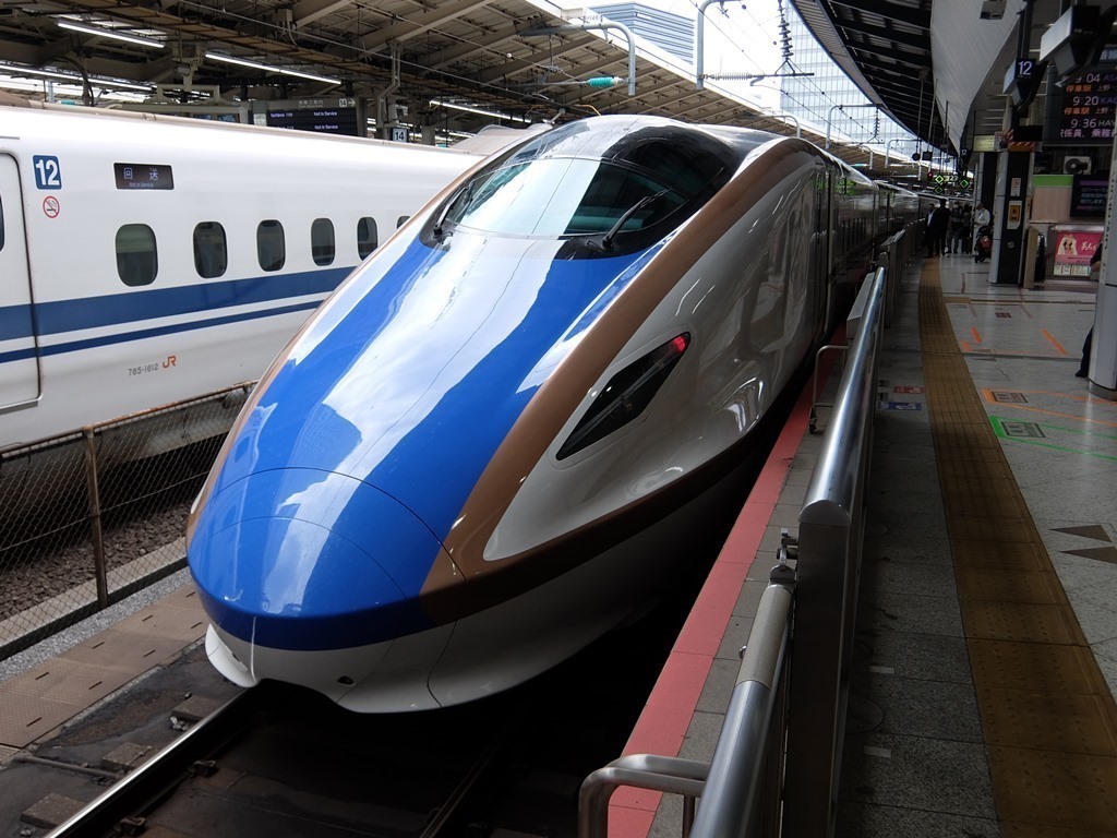 白樺のククサ作り（アックスワーク編）: ガシラッコの自然観察日記