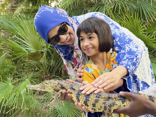 250匹のワニが見られるドバイ・クロコダイル・パーク。ワニとの