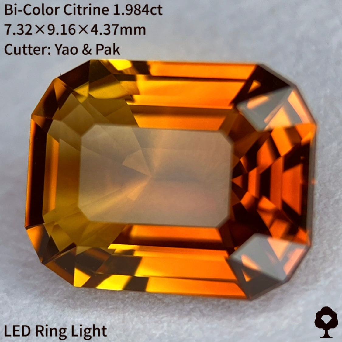 夕焼けを思わせる珍しいシトリンとマディラシトリンのバイカラー