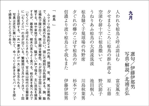 銀漢俳句会誌2015年6月号 伊藤伊那男