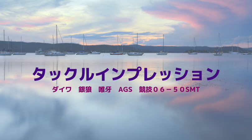 ダイワ 銀狼 唯牙 AGS 競技06－50SMT｜ぎんきのフィッシングブログ