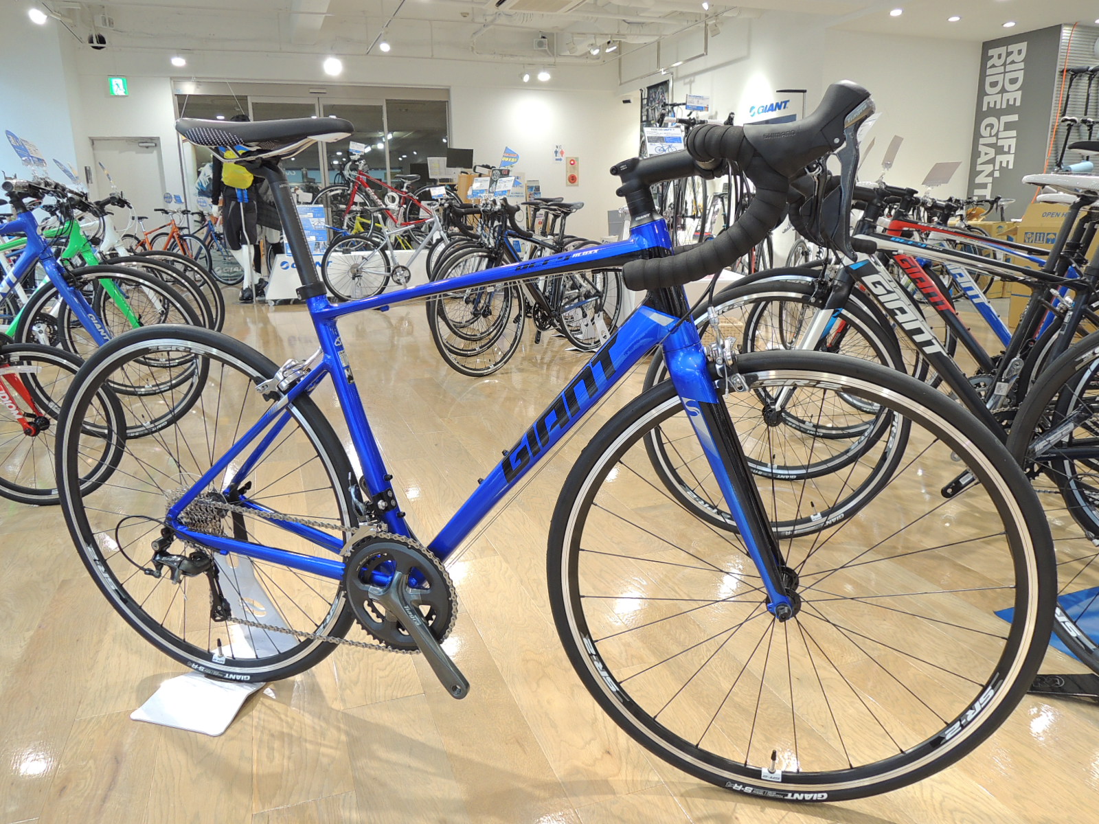 DEFY2 2016年モデルが先行入荷致しました。 ｜ ジャイアントストア神戸