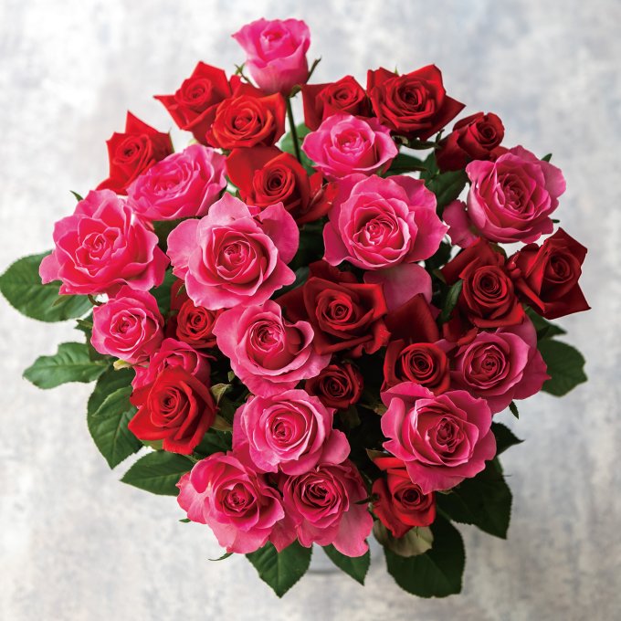 山形産 農園直送 バラ（30本）【eGift】|デジタルギフト・ソーシャル