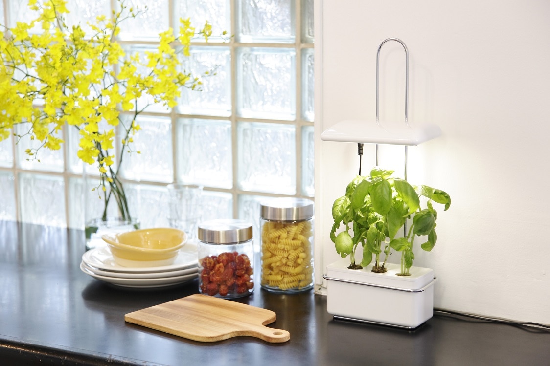 LED水耕栽培器 灯菜15 Akarina15｜ガーデニング用品のアグリオショップ