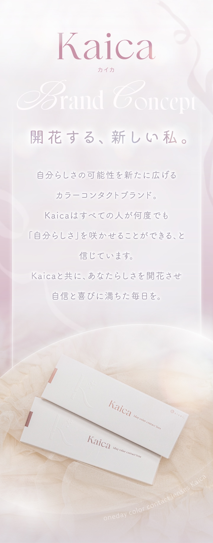 1day Kaica 14.2mm 沢尻エリカ ワンデー カイカ (1箱10枚入り