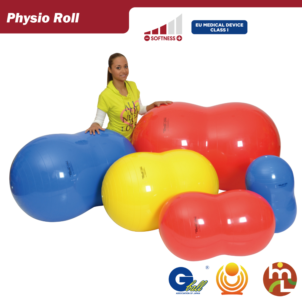 ギムニク｜ギムニクショップ公式サイト / GymnicPhysioRoll フィジオ