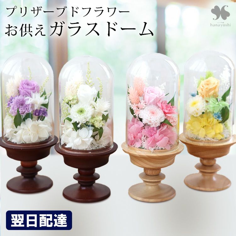 000000000081-01.jpg?size=l&w=