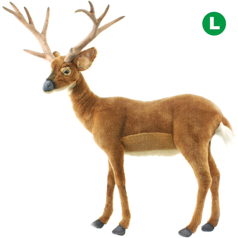 オジロジカ 96 | HANSA