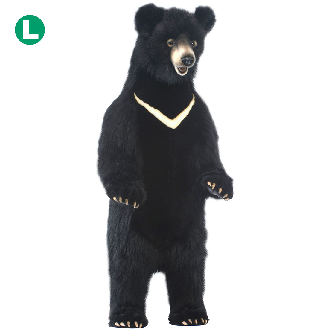 ツキノワグマ 105 | HANSA