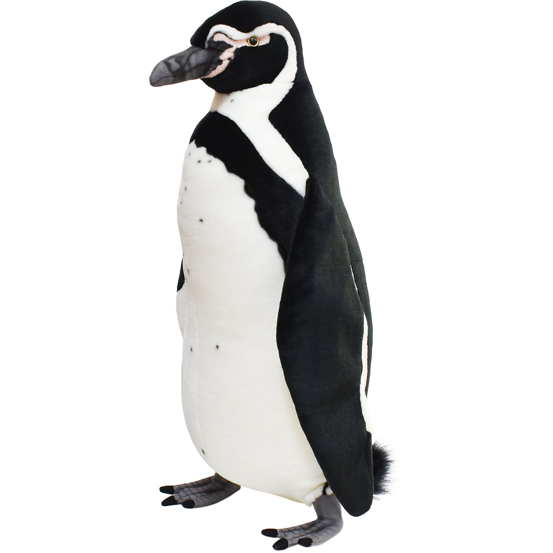 フンボルトペンギン 66 | HANSA
