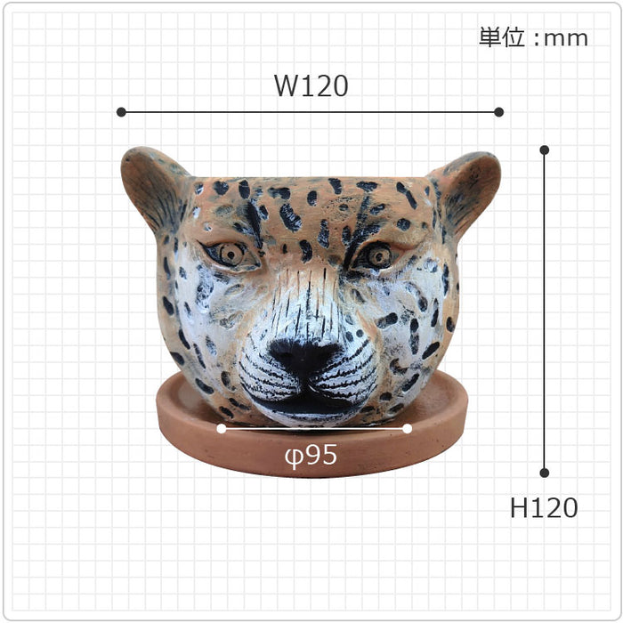 cc060_28_700x.jpg?v=1668223976