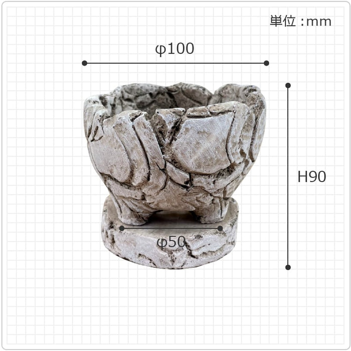 cc353_48_700x.jpg?v=1636017231