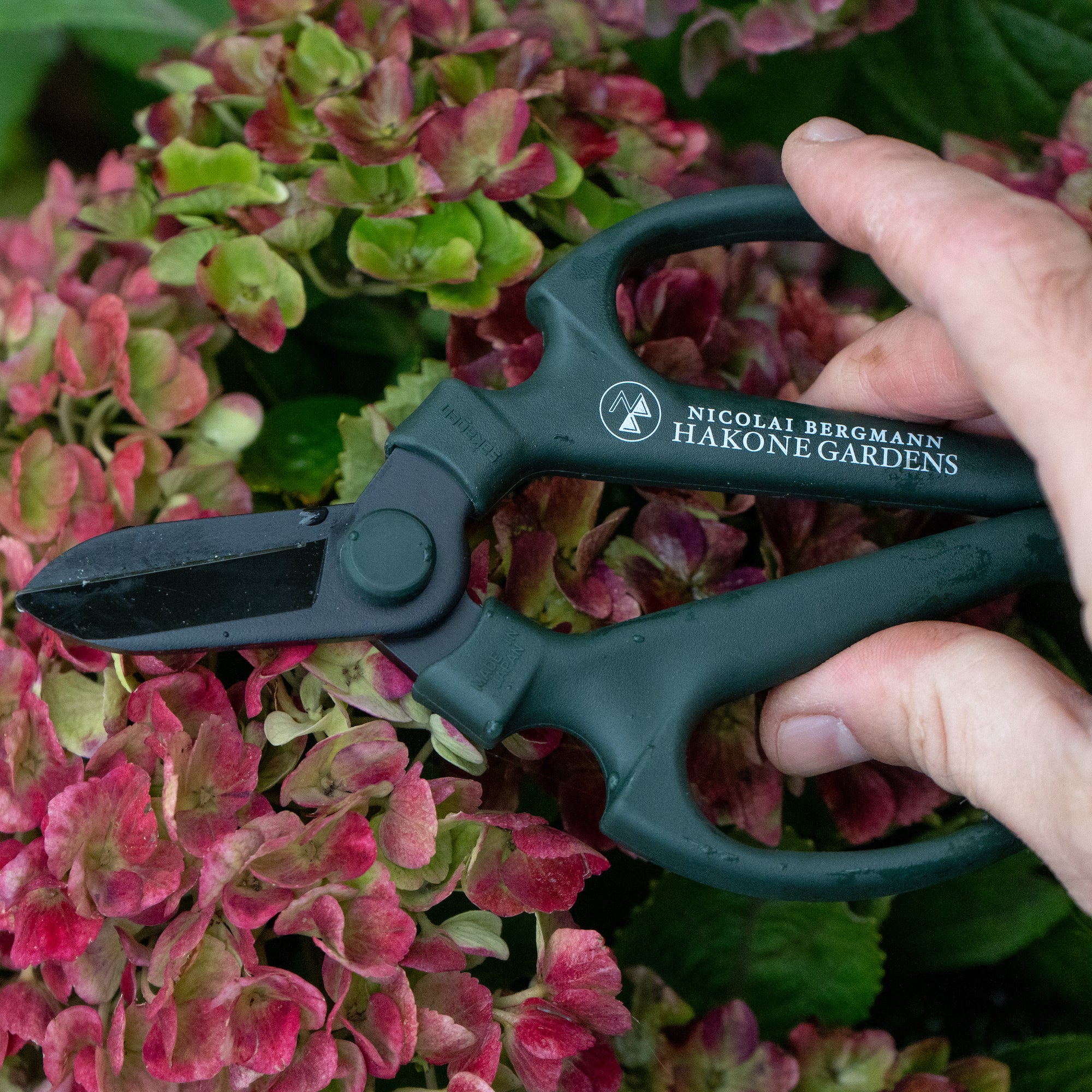 ニコライ バーグマン 箱根 ガーデンズ オリジナルシザー