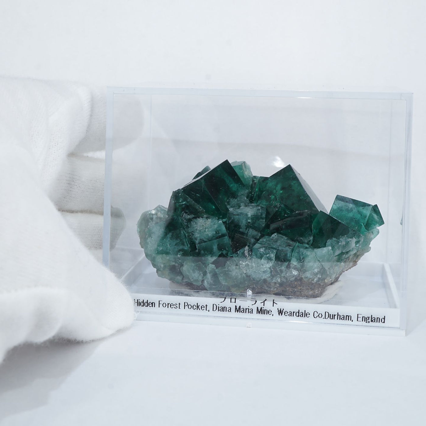 イギリス Diana Maria Mine ダイアナマリア鉱山 (The Hidden Forest