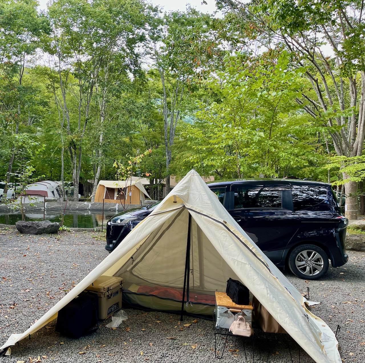 テンマクデザイン パンダ VC+ 購入編｜ひじきCAMP