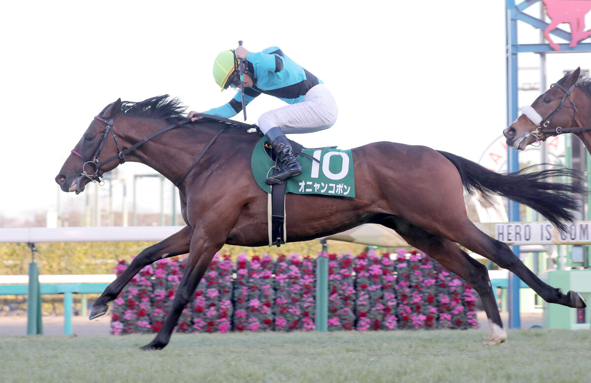 京成杯】6番人気オニャンコポンが差し切りV エイシンフラッシュ産駒初