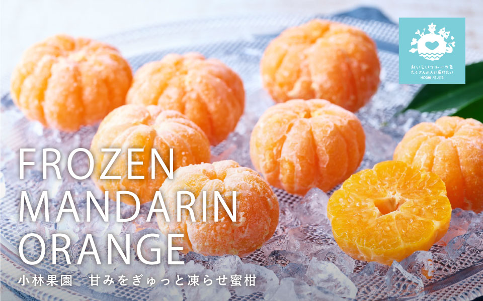 送料込】小林果園 甘みをぎゅっと凍らせ蜜柑《KEA-01A》｜公式通販ホシ