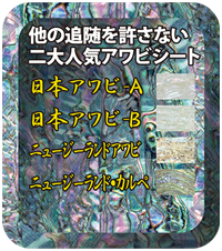 AWABI WORKS （アワビワークス）アワビシートのご紹介・販売（メキシコ